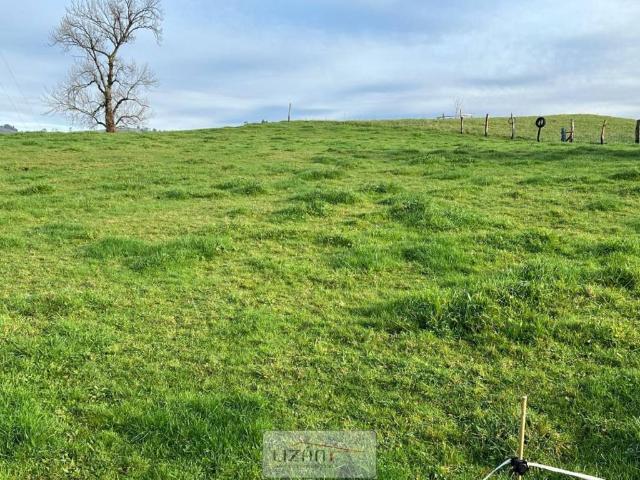 Terreno en venta en Sariego, Asturias