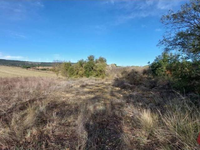 Terreno en venta en Conca de Barberà, Catalunya