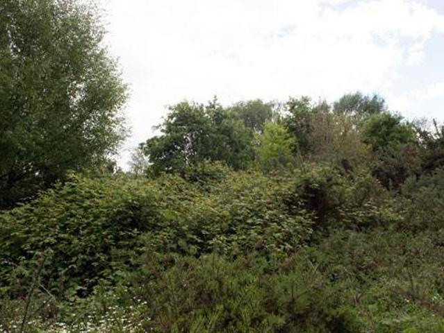 Terreno en venta en Cortegada, A Limia