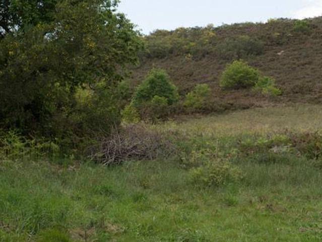 Terreno en venta en Cortegada, A Limia