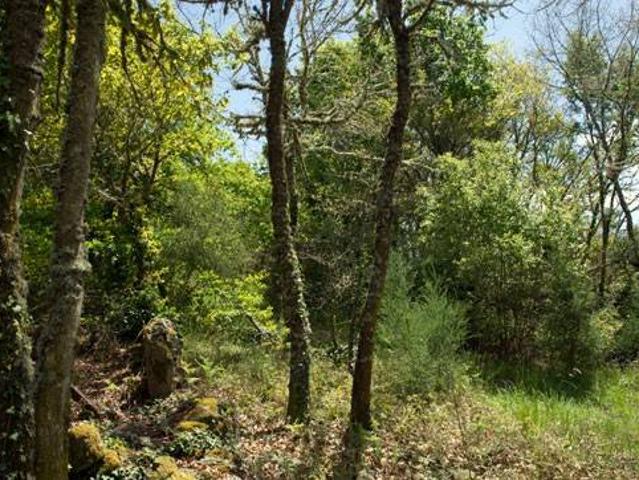 Terreno en venta en Cortegada, A Limia