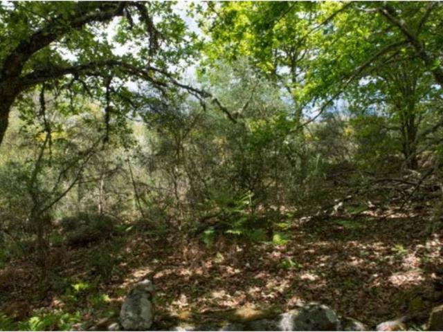 Terreno en venta en Cortegada, A Limia