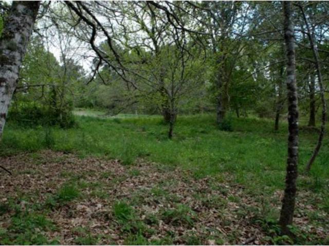 Terreno en venta en Cortegada, A Limia