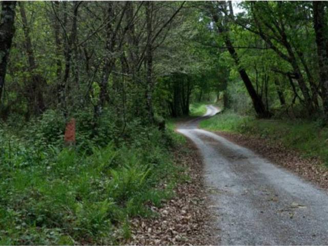 Terreno en venta en Cortegada, A Limia