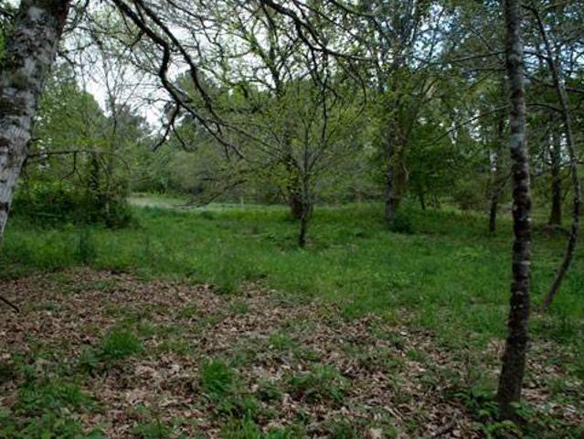 Terreno en venta en Cortegada, A Limia