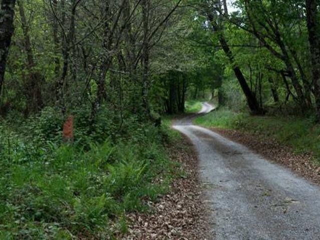 Terreno en venta en Cortegada, A Limia