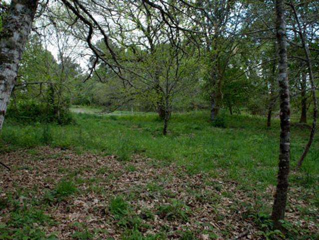 Terreno en venta en A Limia, Galicia