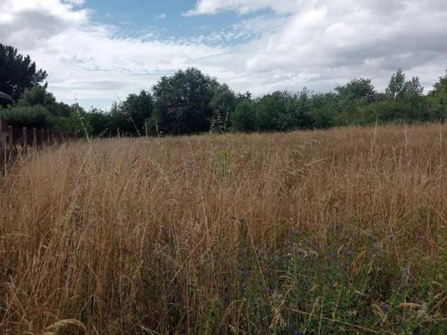 Terreno en venta en A Limia, Galicia