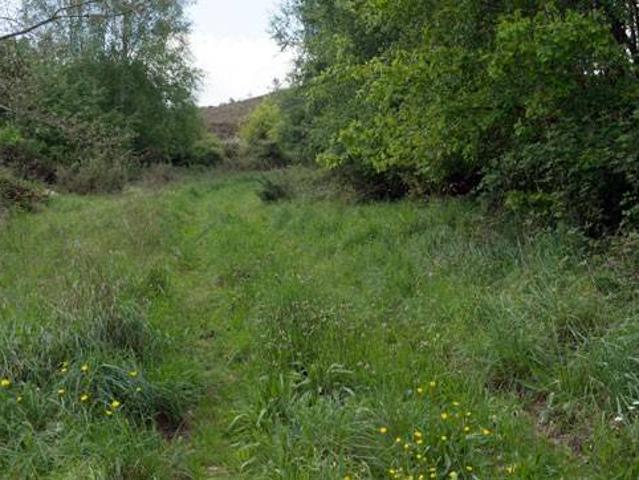 Terreno en venta en Sarreaus, Folgoso
