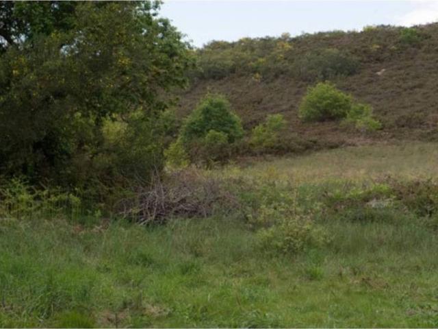 Terreno en venta en Cortegada, A Limia