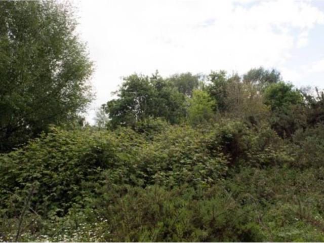 Terreno en venta en Cortegada, A Limia