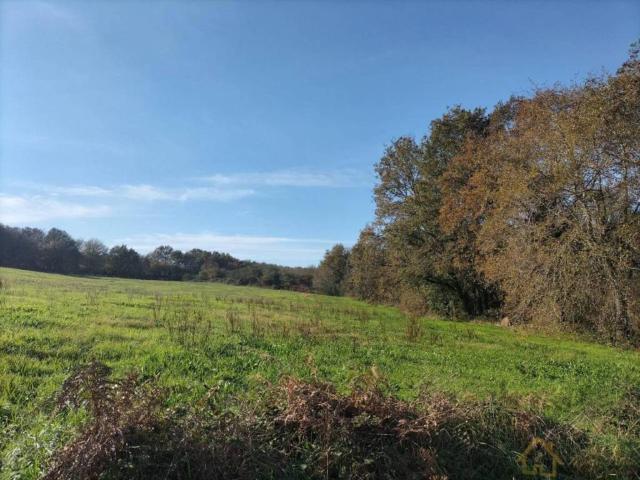 Terreno en venta en Sarria, Galicia