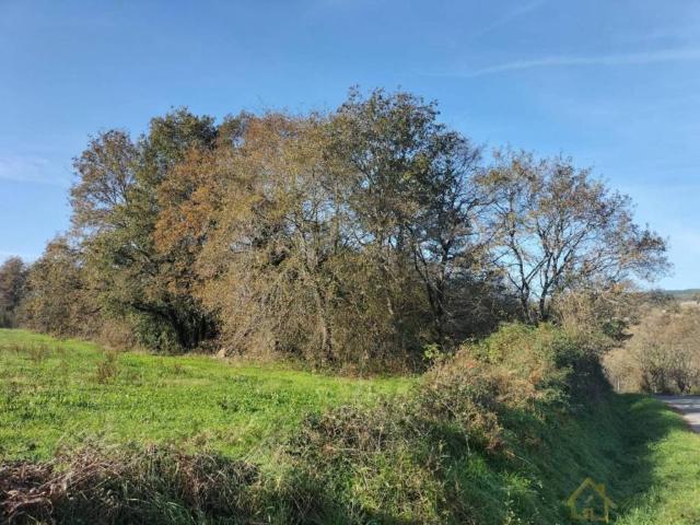 Terreno en venta en Sarria, Galicia