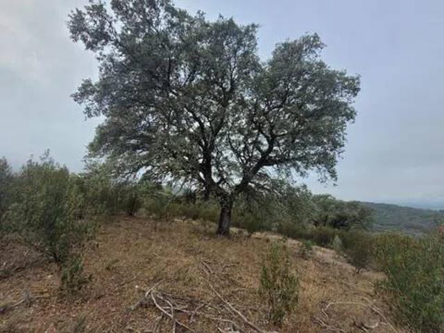 Terreno en venta en Sartajada, Castilla-La Mancha