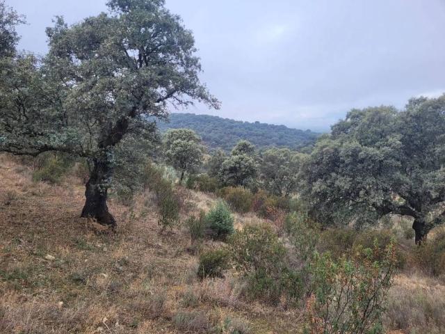 Terreno en venta en Sartajada