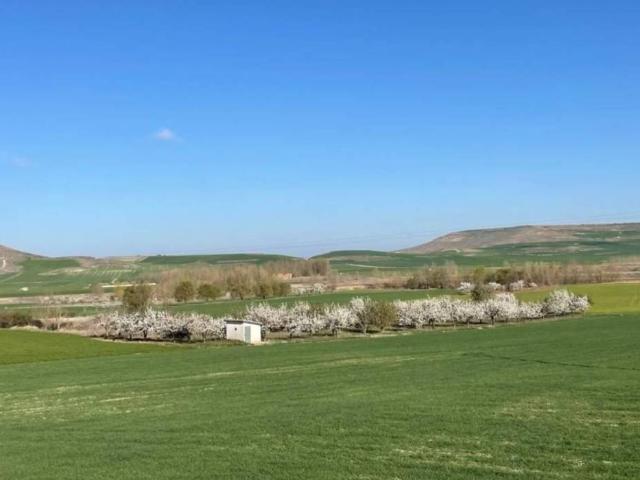 Terreno en venta en Sasamón, Castilla y León