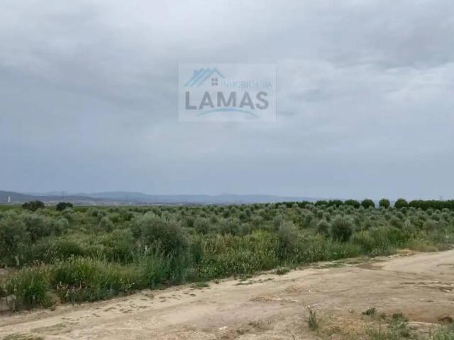 Terreno en venta en Saucedilla, Cáceres
