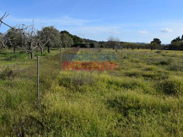 Terreno en venta en Saucedilla, Extremadura