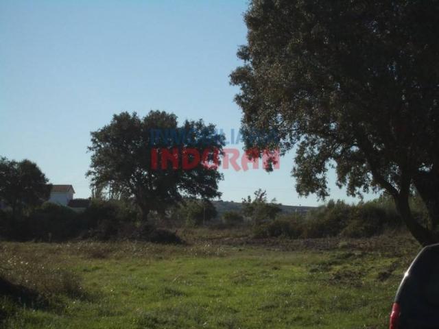Terreno en venta en Saucedilla, Extremadura