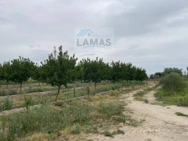 Terreno en venta en Saucedilla, Cáceres