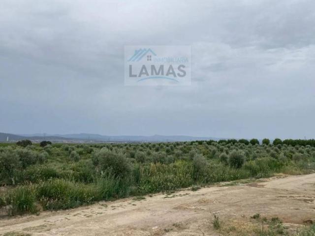 Terreno en venta en Saucedilla, Extremadura