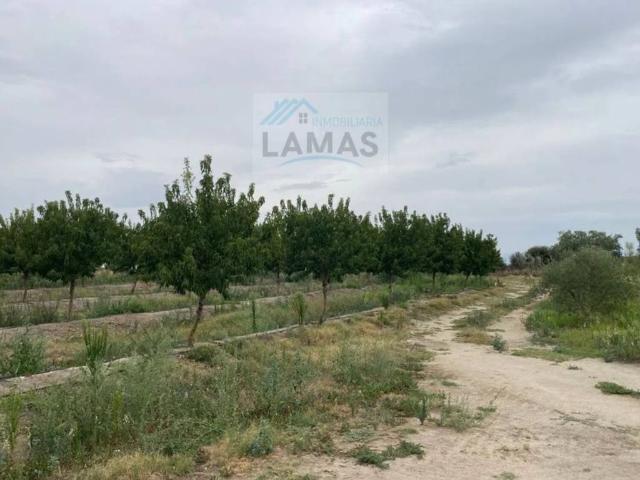 Terreno en venta en Saucedilla, Extremadura