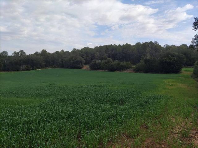 Terreno en venta en Alt Empordà, Catalunya