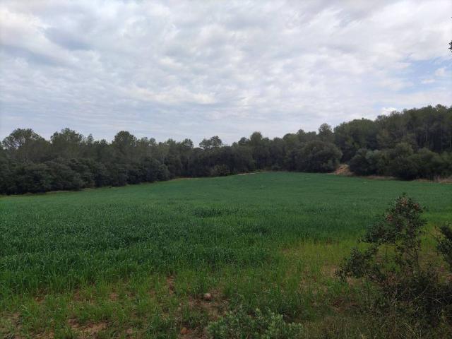 Terreno en venta en Alt Empordà, Catalunya