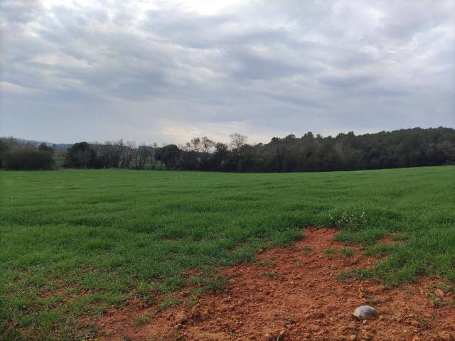 Terreno en venta en Alt Empordà, Catalunya