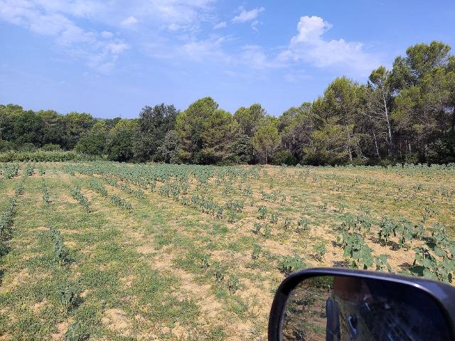Terreno en venta en Camallera, Alt Empordà