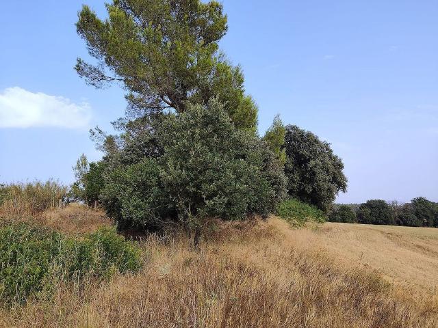 Terreno en venta en Camallera, Alt Empordà