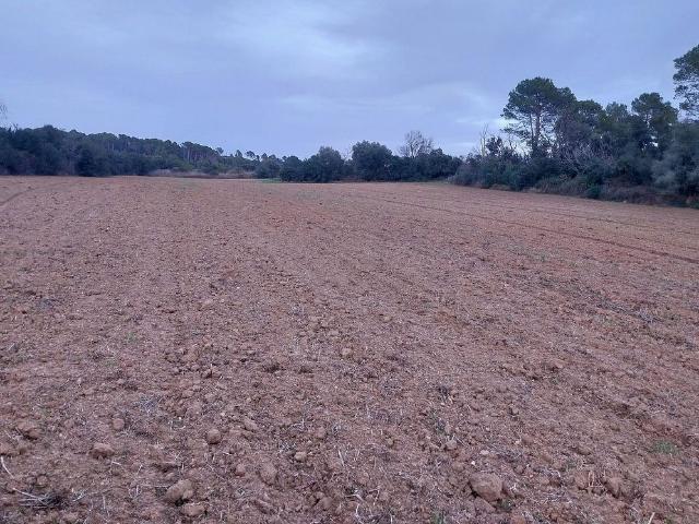 Terreno en venta en Baix Empordà, Catalunya