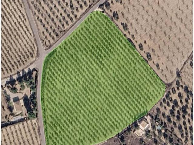 Terreno en venta en Sax, Alacant / Alicante