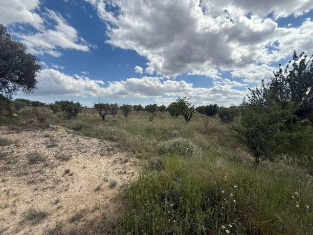 Terreno en venta en Sax, Alacant / Alicante