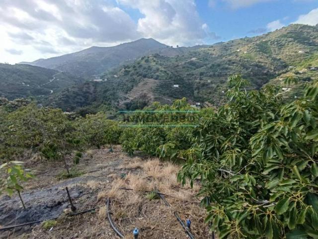 Terreno en venta en La Axarquía, Andalucía