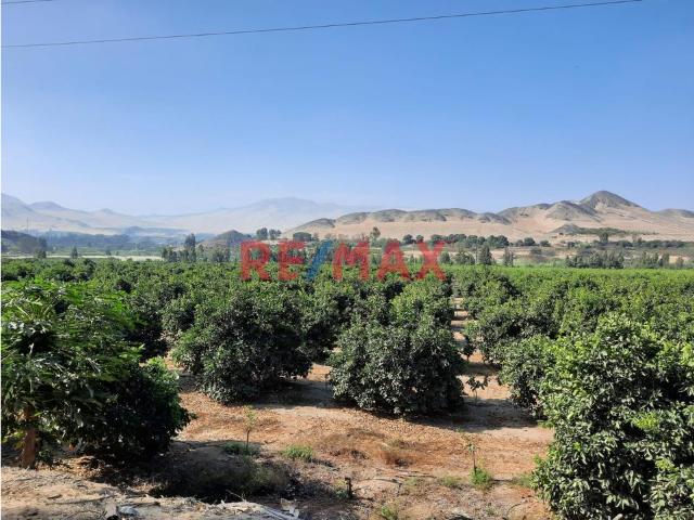 Terreno venta en Huaura, Lima Metropolitana