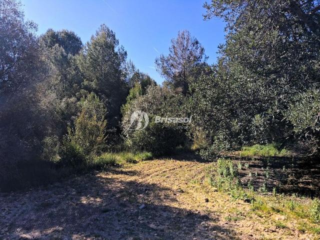Terreno en venta en Tarragonès, Catalunya
