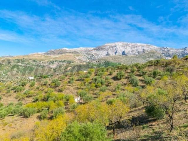 Terreno en venta en La Axarquía, Andalucía