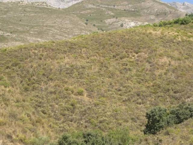Terreno en venta en La Axarquía, Andalucía