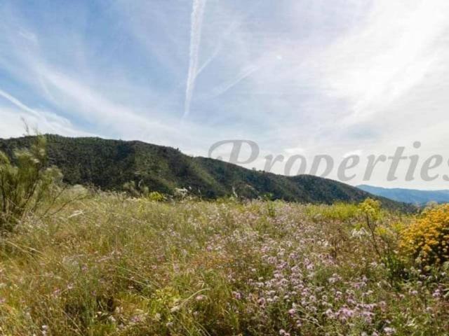 Terreno en venta en La Axarquía, Andalucía