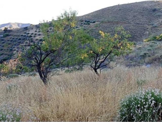 Terreno en venta en La Axarquía, Andalucía
