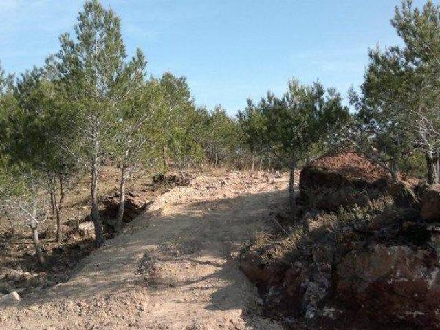 Terreno en venta en el Camp de Morvedre, Valencia