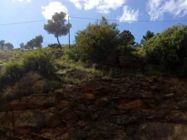 Terreno en venta en el Camp de Morvedre, Valencia