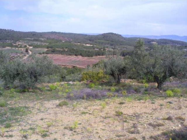 Terreno en venta en l'Alt Palància, Valencia