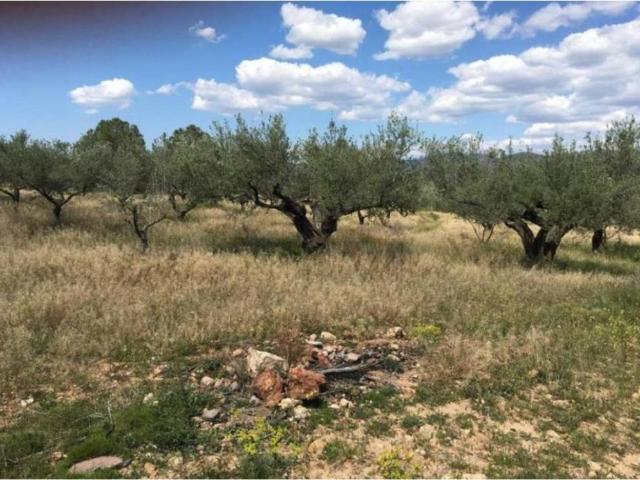 Terreno en venta en l'Alt Palància, Valencia