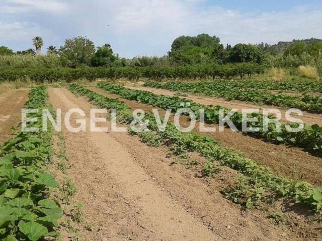 Terreno en venta en l'Alt Palància, Valencia