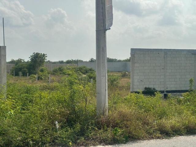 Terreno en venta en Celestún, Yucatán