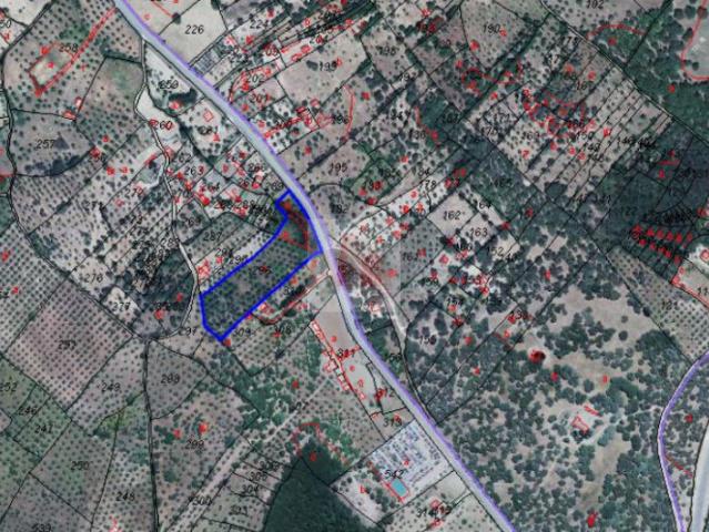 Terreno en venta en Segura De León, Extremadura