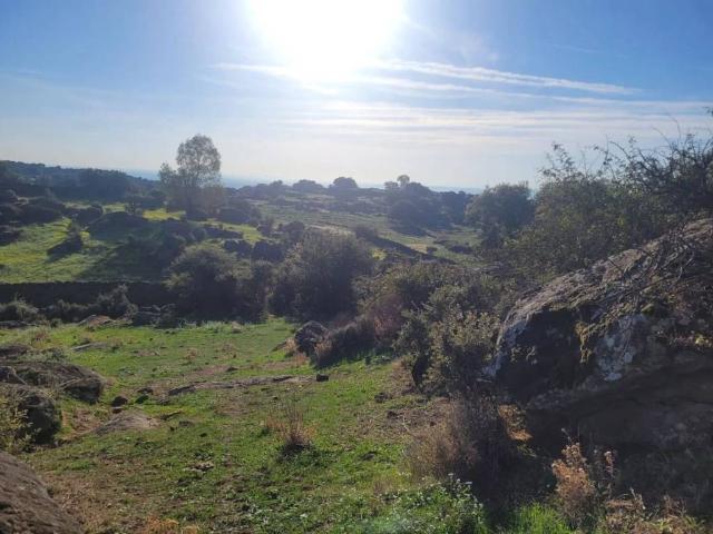 Terreno en venta en Segurilla, Patricio