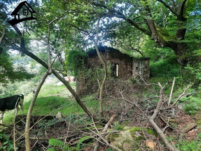 Terreno en venta en Selaya, Cantabria
